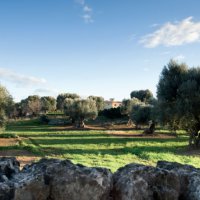 In the heart of Apulia
