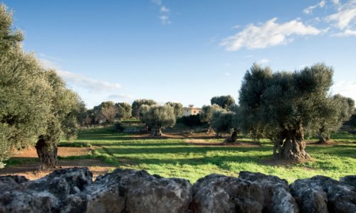 In the heart of Apulia In the heart of Apulia